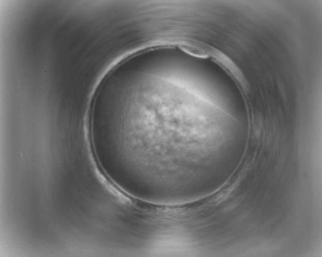 X0000068850958200605051209