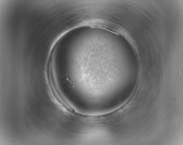 X0000068850960200605051209