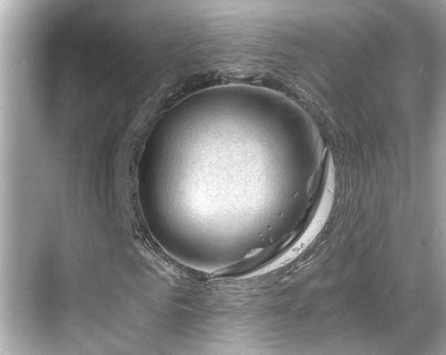 X0000068850961200605051208