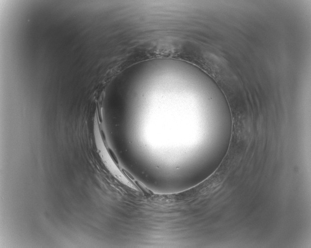 X0000068850962200605051208