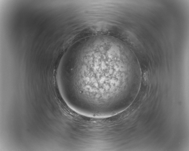 X0000068850963200605051208