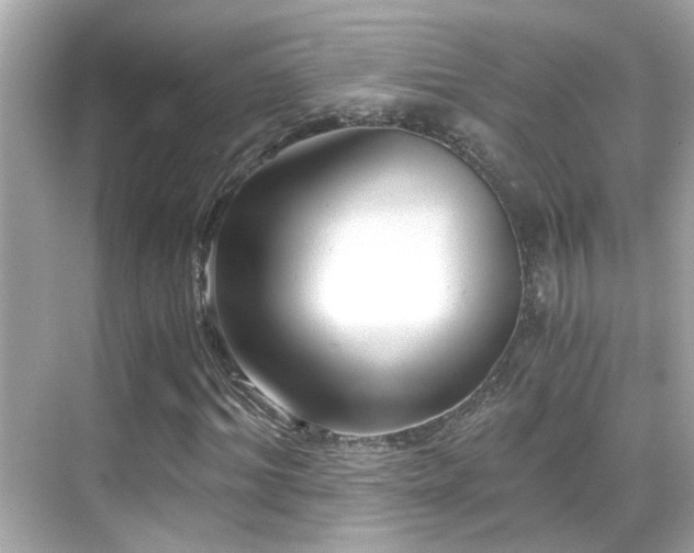 X0000068850964200605051208