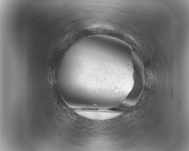 X0000068850965200605051208