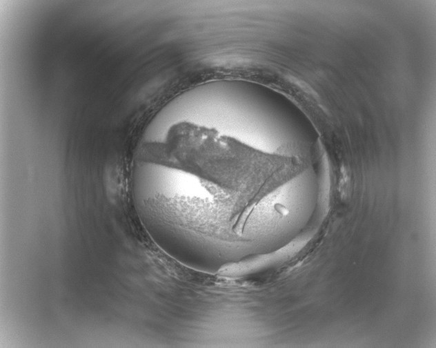 X0000068850966200605051208