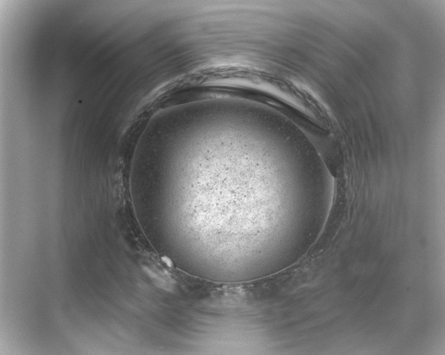 X0000068850968200605051208