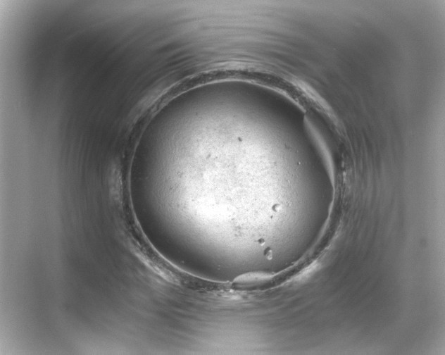 X0000068850969200605051208