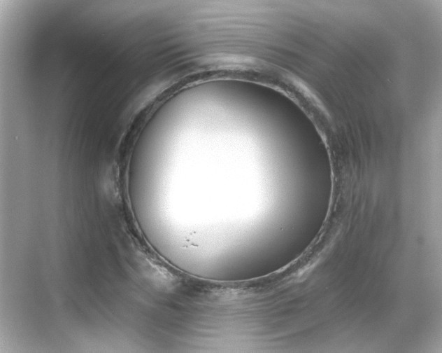 X0000068850970200605051208