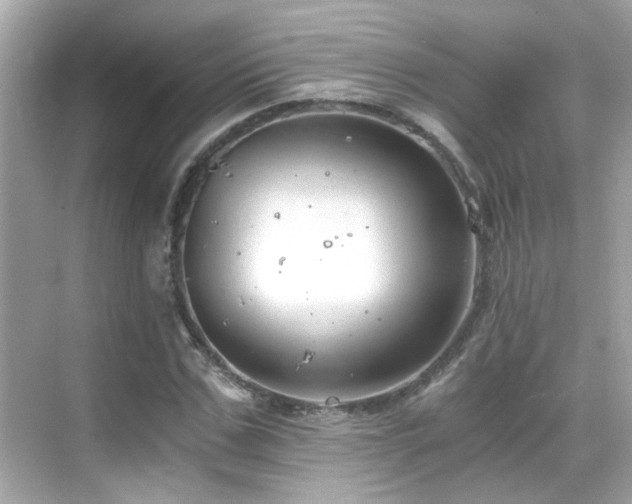 X0000068850971200605051208