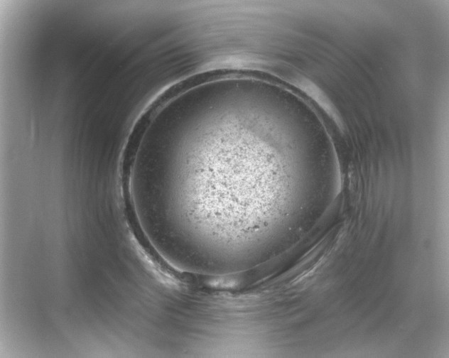 X0000068850972200605051208