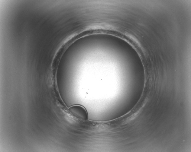 X0000068850974200605051208