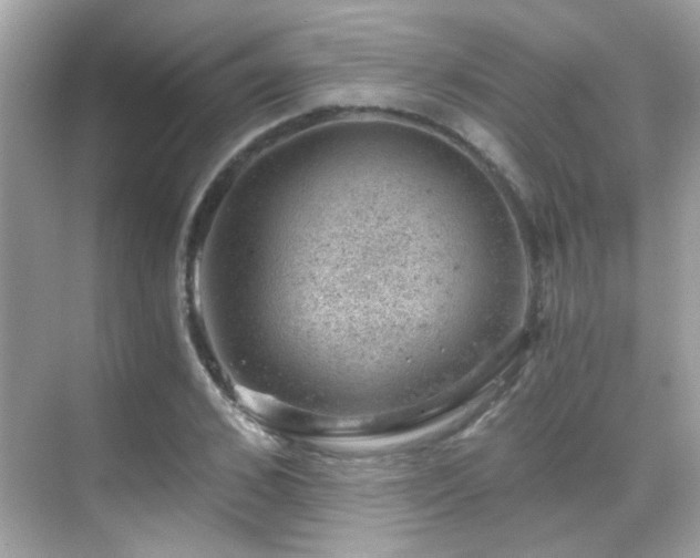 X0000068850976200605051208