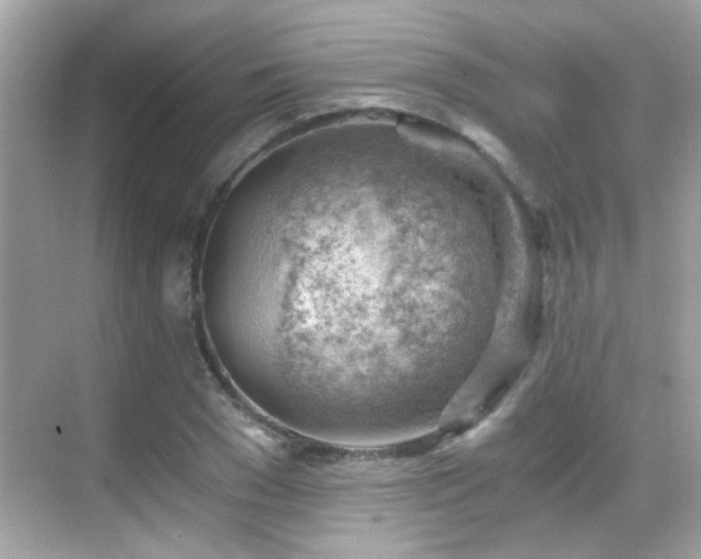 X0000068850977200605051208