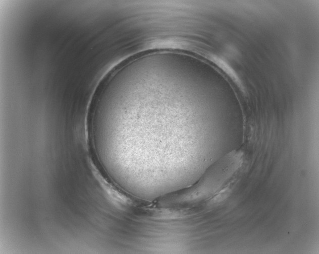 X0000068850980200605051208