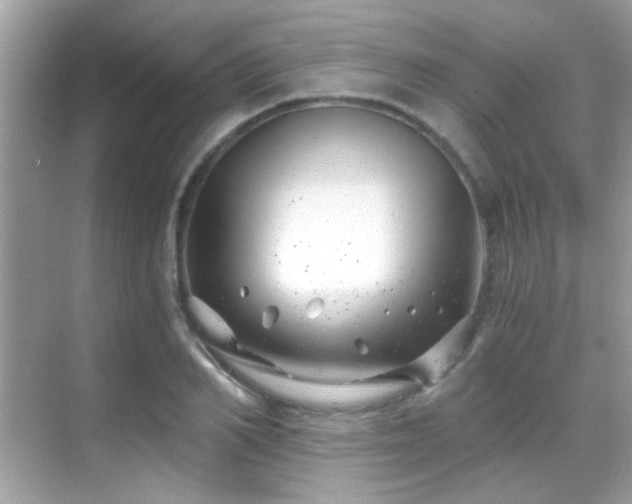 X0000068850982200605051208