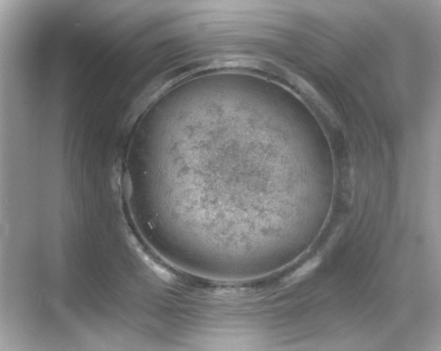 X0000068850985200605051208