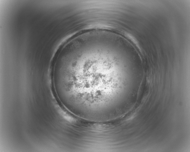 X0000068850987200605051208