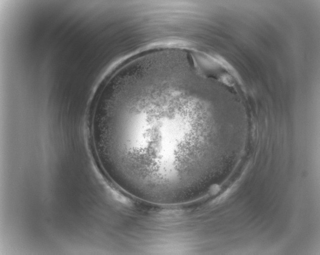 X0000068850989200605051208