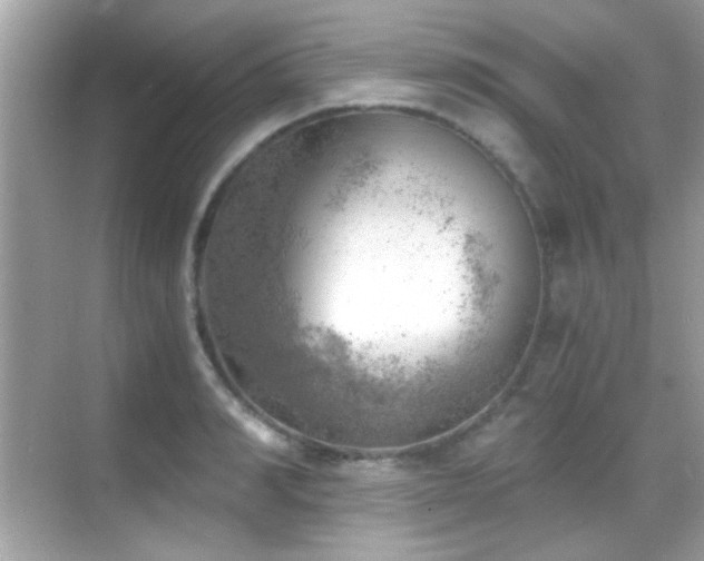 X0000068850990200605051208