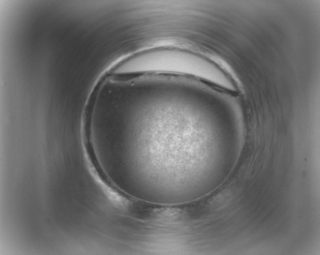 X0000068850991200605051208