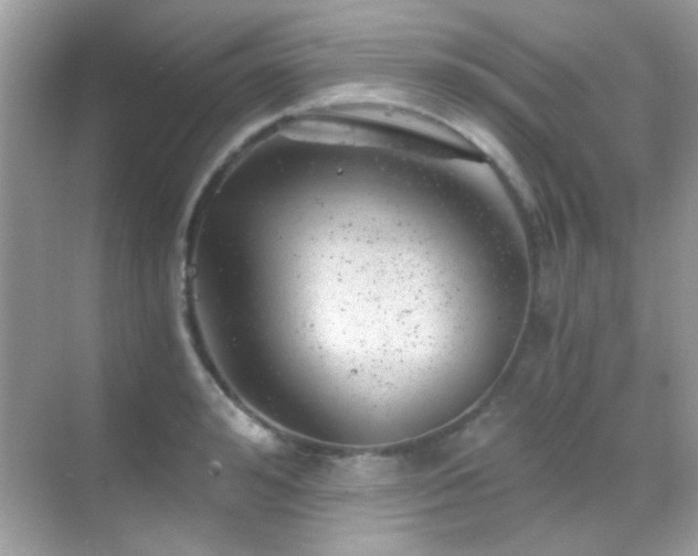 X0000068850992200605051208