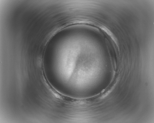 X0000068850993200605051208