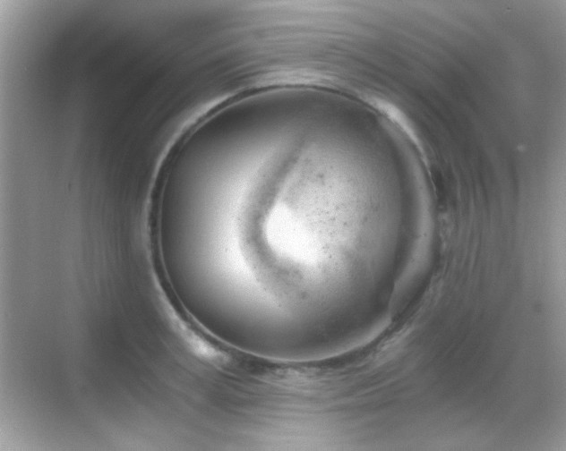 X0000068850995200605051208