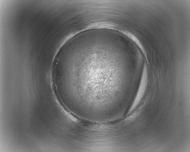 X0000068850997200605051208