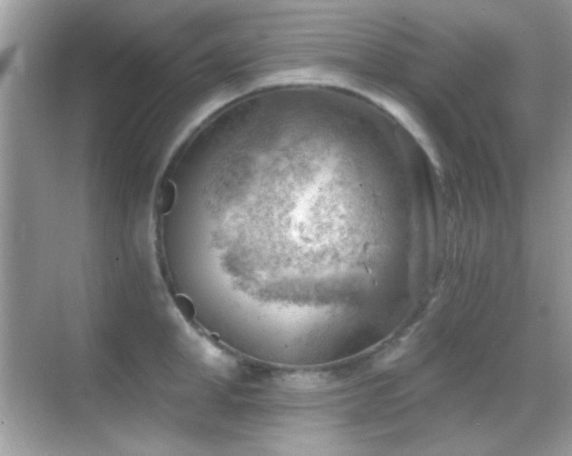 X0000068850998200605051208