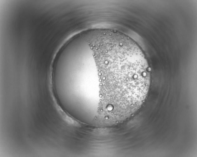 X0000068851000200605051208