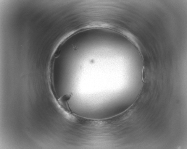 X0000068851003200605051208