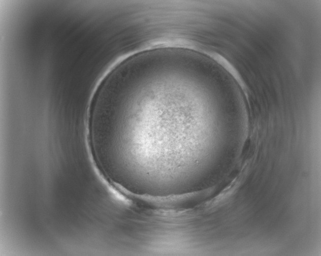 X0000068851005200605051208