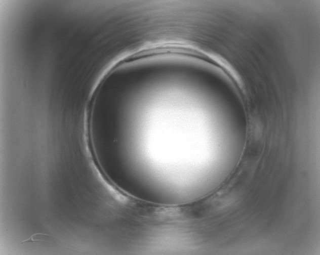 X0000068851006200605051208