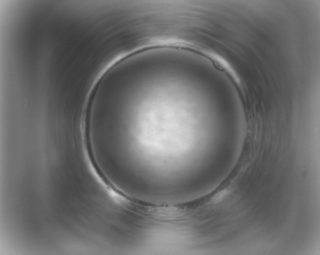 X0000068851007200605051208