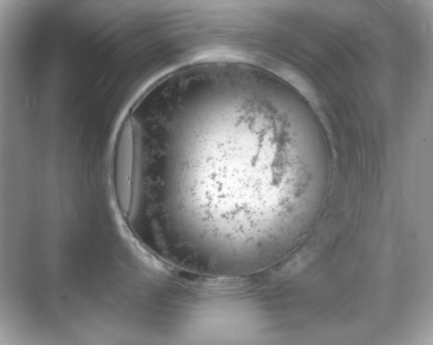 X0000068851008200605051208