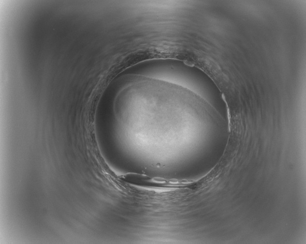 X0000068851009200605051207