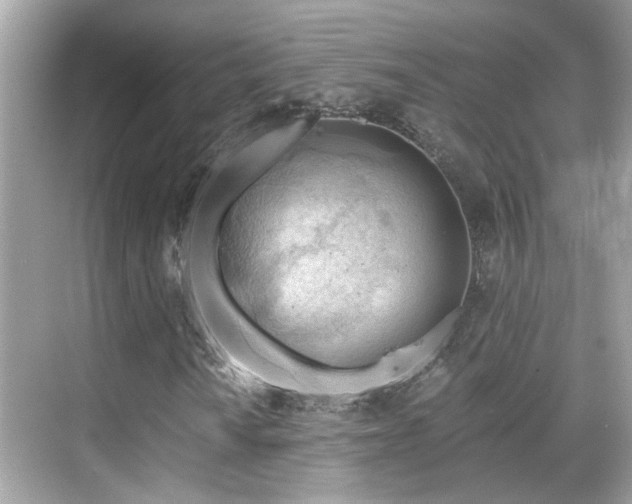 X0000068851010200605051207