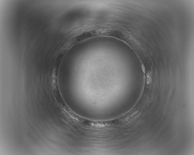 X0000068851011200605051207