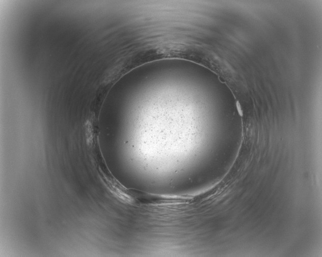 X0000068851012200605051207