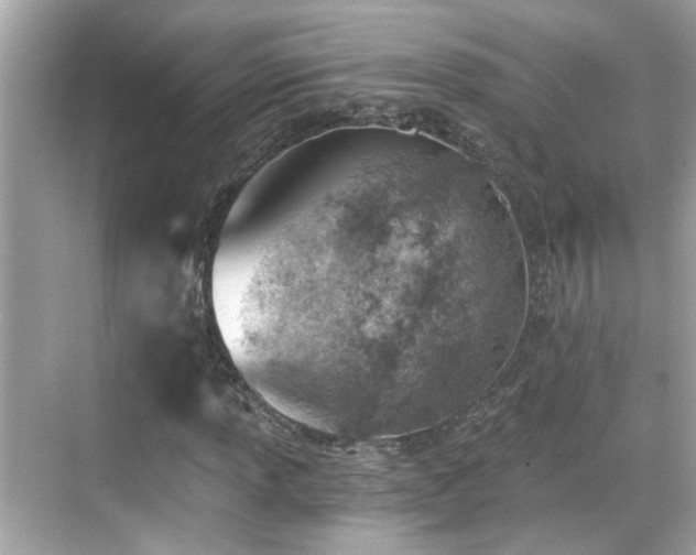 X0000068851013200605051207