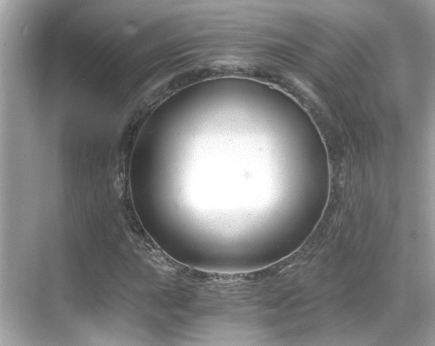 X0000068851015200605051207