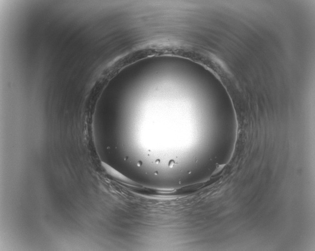 X0000068851016200605051207