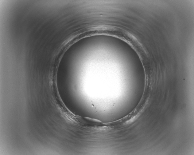 X0000068851017200605051207