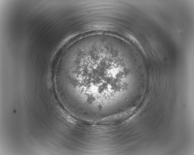 X0000068851019200605051207