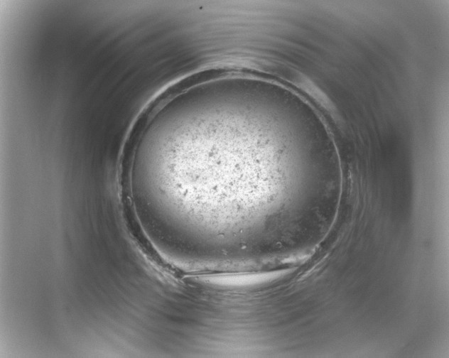 X0000068851020200605051207