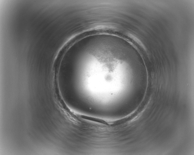 X0000068851021200605051207