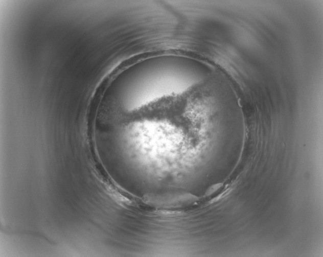 X0000068851023200605051207