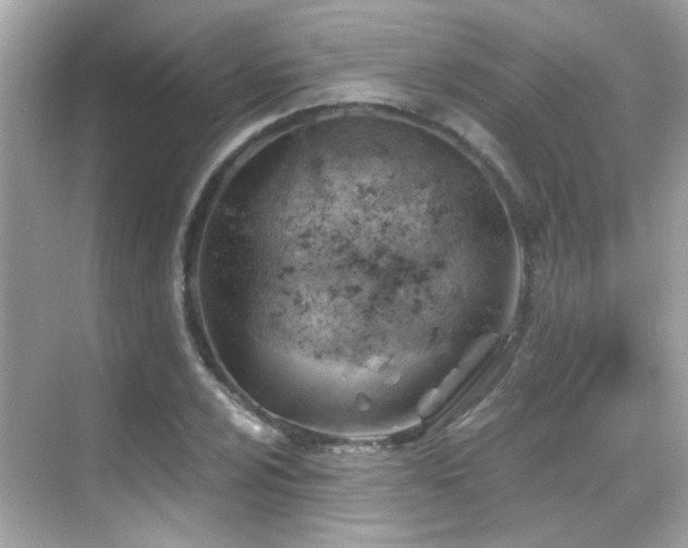 X0000068851024200605051207