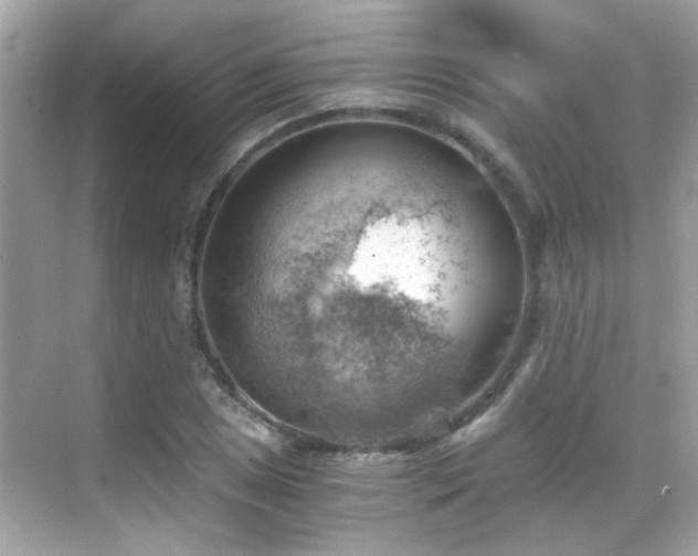 X0000068851025200605051207