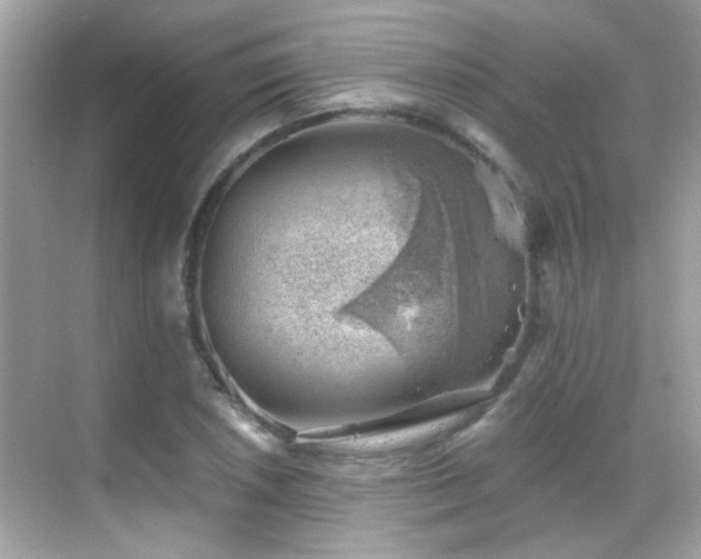 X0000068851026200605051207