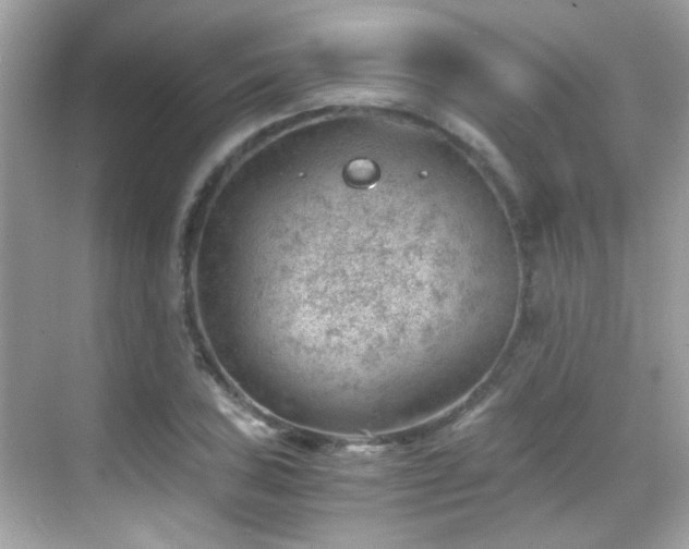 X0000068851027200605051207